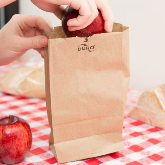 3 lb Brown Paper Bags
